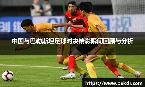 VSport-胜利因您更精彩